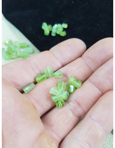 Lots de 11 Cristaux de Péridot Naturelle Percées