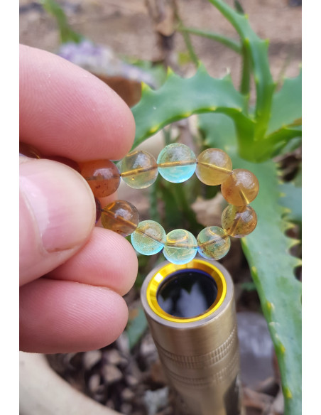 Véritable Bracelet en Ambre Bleue du Mexique 8-9mm lot 03/2023