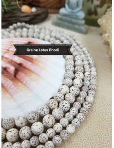 Fil de Graines de Lotus Bodhi