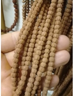 Fil de Rudraksha "Graines... 2