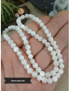 Fil de Coquillage Nacré 2